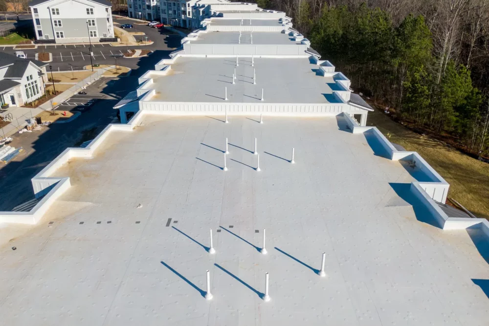 TPO Roofs